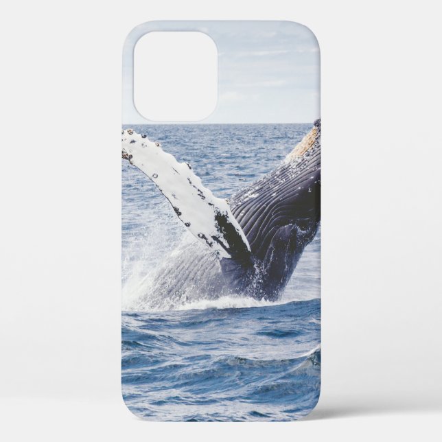 Giant Whale Jumps Out Of Ocean  Case-Mate iPhone Case (Back)