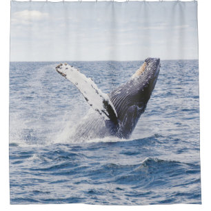 Giant Whale Jumps Out Of Ocean  Shower Curtain