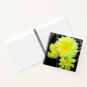 Giant Yellow Dahlias Notebook