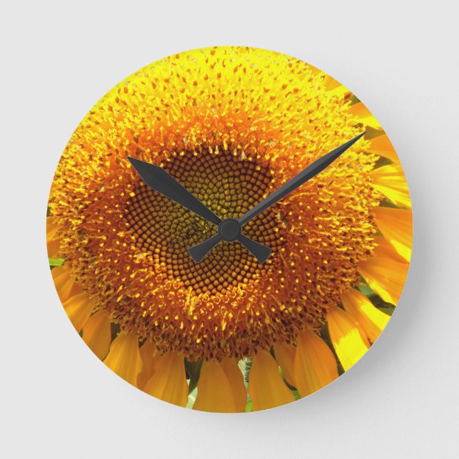 Giant yellow mammoth sunflower photo round clock (Front)