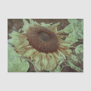 Giant Yellow Sunflower Brown Texture Art Decoupage Tissue Paper