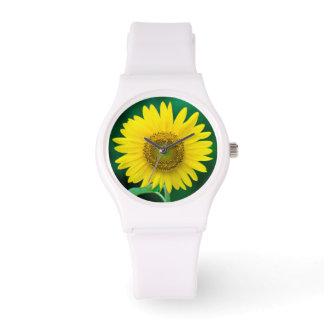 Giant Yellow Sunflower in Summer Watch