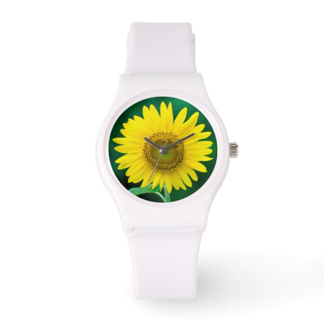 Giant Yellow Sunflower in Summer Watch (Front)