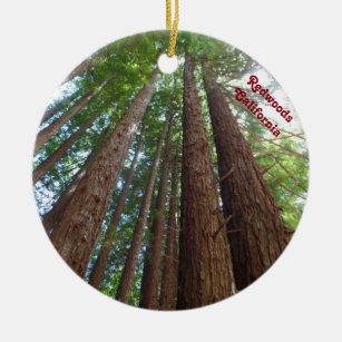 Giantic Redwood Trees National Forest California Ceramic Ornament