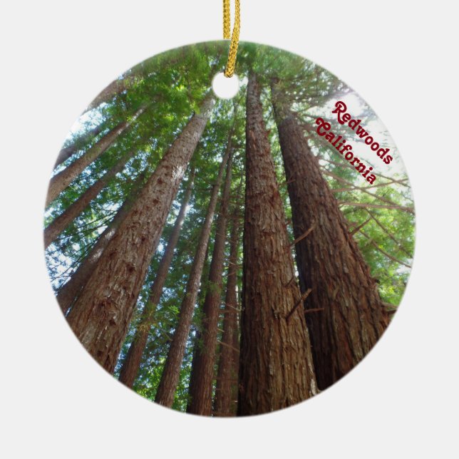 Giantic Redwood Trees National Forest California Ceramic Ornament (Front)