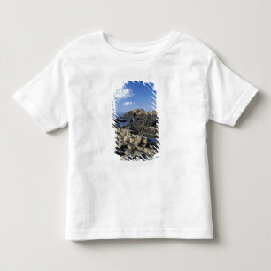 Giants Causeway, County Antrim, Northern Toddler T-Shirt