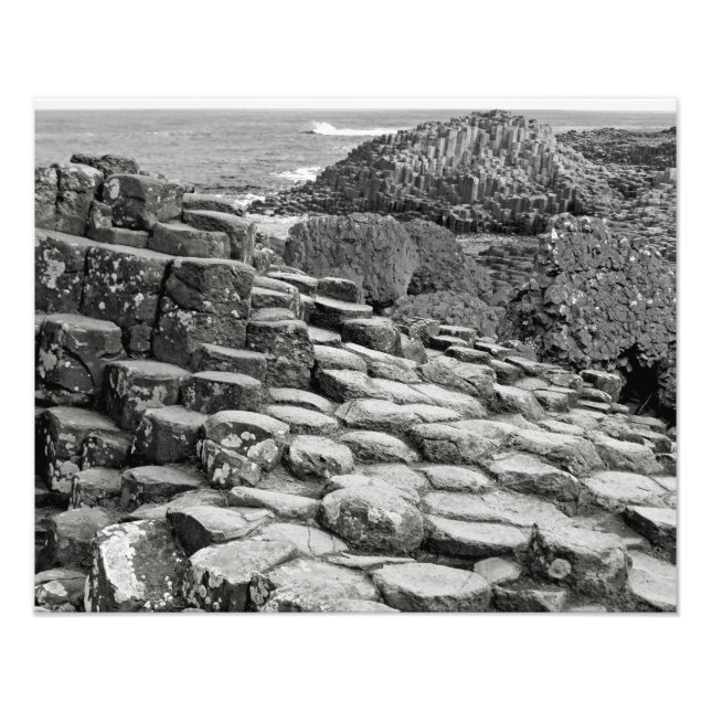 Giant's Causeway Shoreline Photo Print (Front)