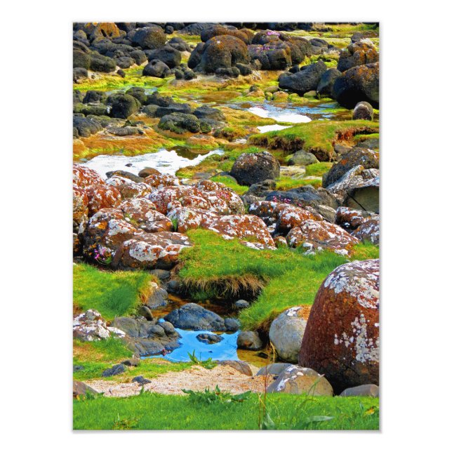 Giant's Causeway- View 2 Photo Print (Front)