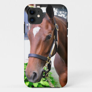 Giant's Causeway's Filly iPhone 11 Case