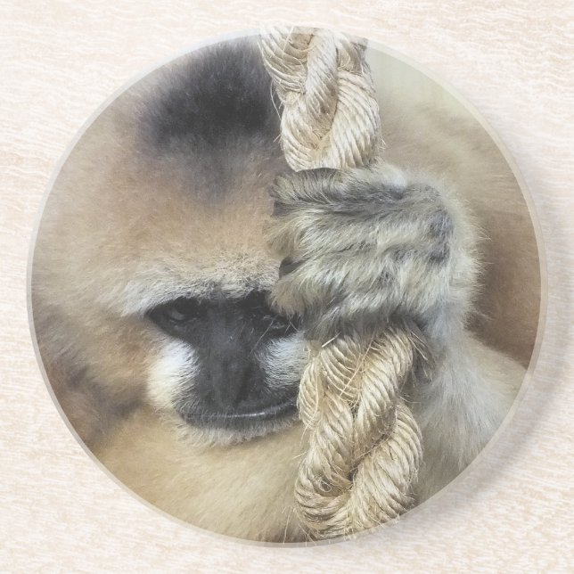 GIBBON COASTER (Front)
