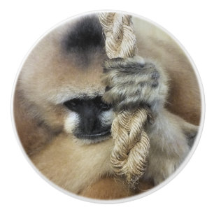 GIBBON MONKEY CERAMIC KNOB