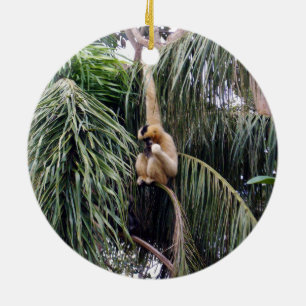 Gibbon Monkey Just Hanging Around, Ceramic Tree Decoration