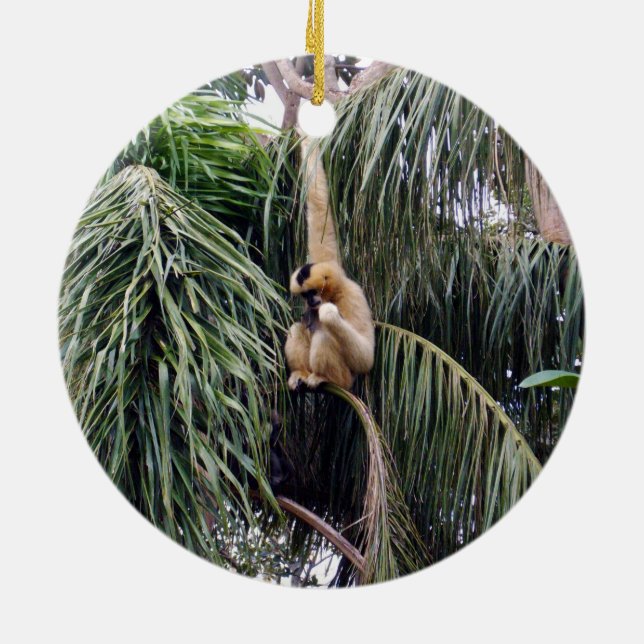 Gibbon Monkey Just Hanging Around, Ceramic Tree Decoration (Back)