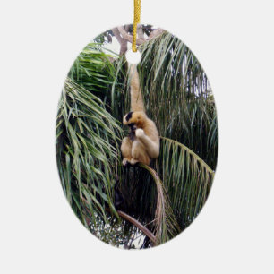 Gibbon Monkey Just Hanging Around, Ceramic Tree Decoration