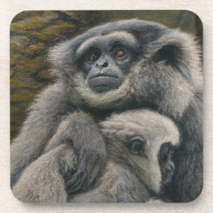 Gibbon Shelter – Emotional Wildlife Portrait Coaster