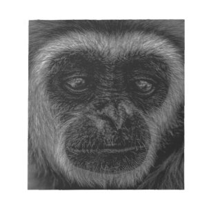 Gibbon wildlife indonesia mammal notepad