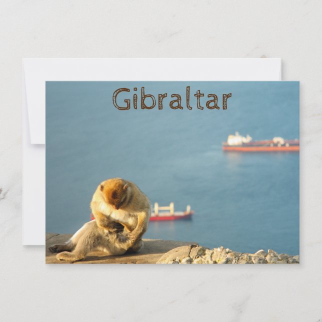 Gibraltar Barbary ape Card (Front)