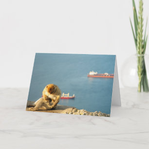 Gibraltar Barbary ape Card
