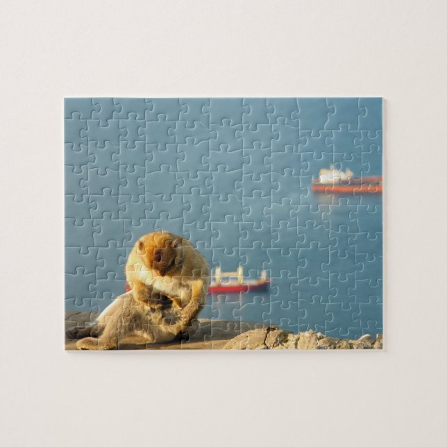 Gibraltar Barbary ape Jigsaw Puzzle (Horizontal)