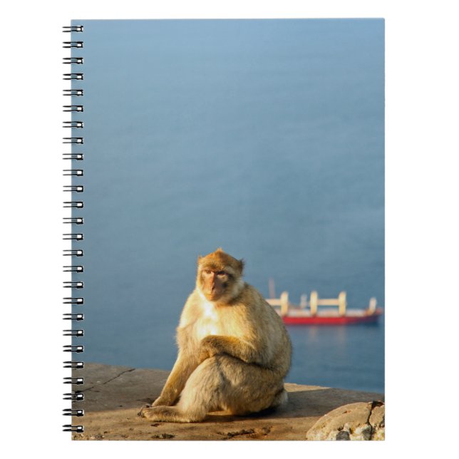 Gibraltar Barbary ape Notebook (Front)