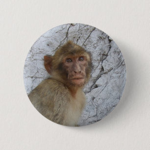 Gibraltar Monkey button