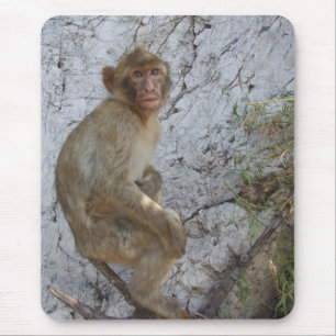 Gibraltar Monkey mousepad