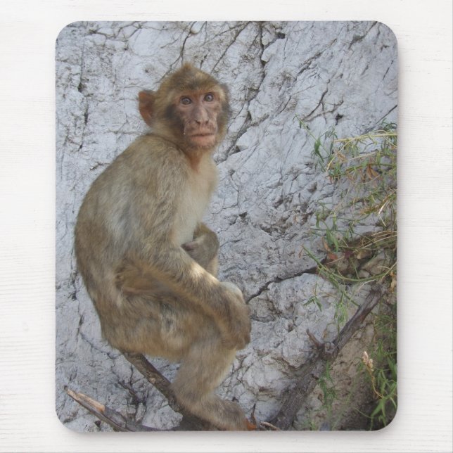 Gibraltar Monkey mousepad (Front)