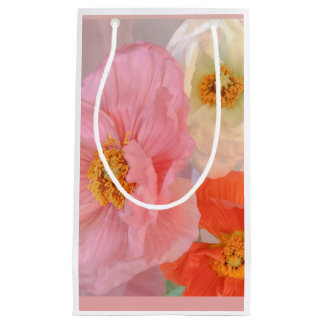 Gift Bag