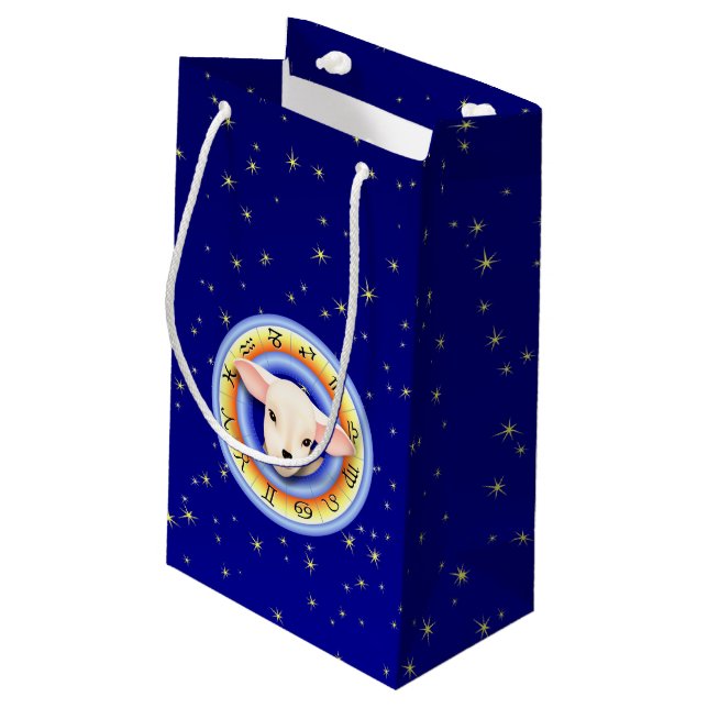 Gift Bag (Back Angled)