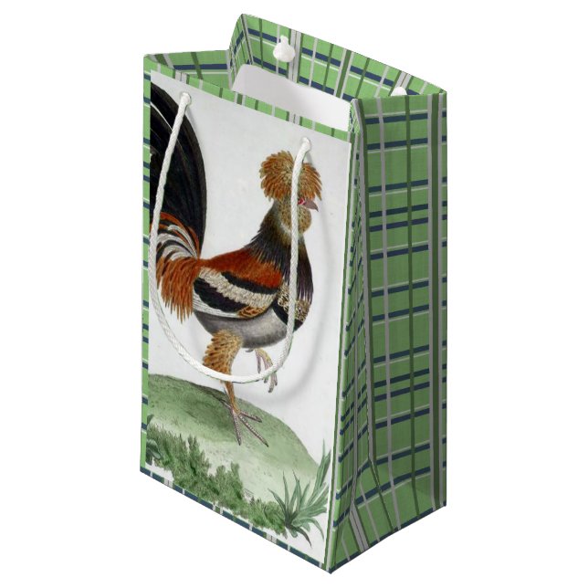 Gift Bag French Bird Green (Front Angled)