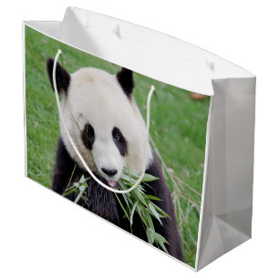 Gift Bag Photo giant panda , animals 0184.