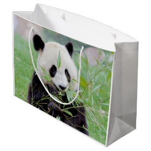 Gift Bag Photo giant panda , animals 0185.