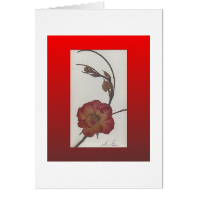 Gift Box Card (Front)