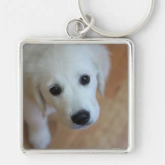 Gift for animal lovers key ring