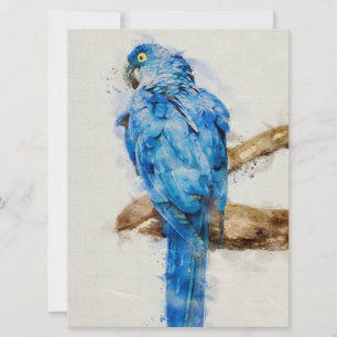 Gift For Family   Beautiful Birds   Funny Parrot 