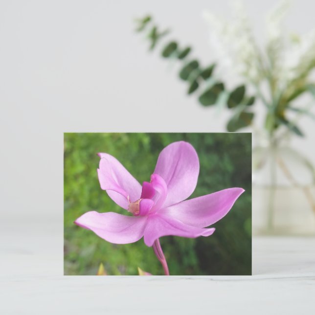 GIFT FOR NATURE LOVER WITH FLOWER POSTCARD (Standing Front)