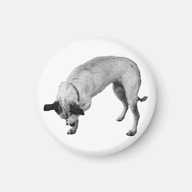 Gift-Guard Paw Carry Magnet (Front)