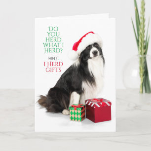 Gift Herding Border Collie With Santa Hat Holiday