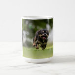 gift mugs for your girlfriend or boyfriend<br><div class="desc">we are the rocky brand... we think you are love for the animals ..</div>