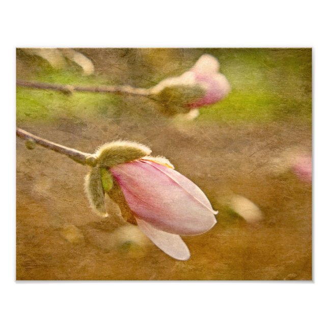 Gift of Hope Photo Print (Front)