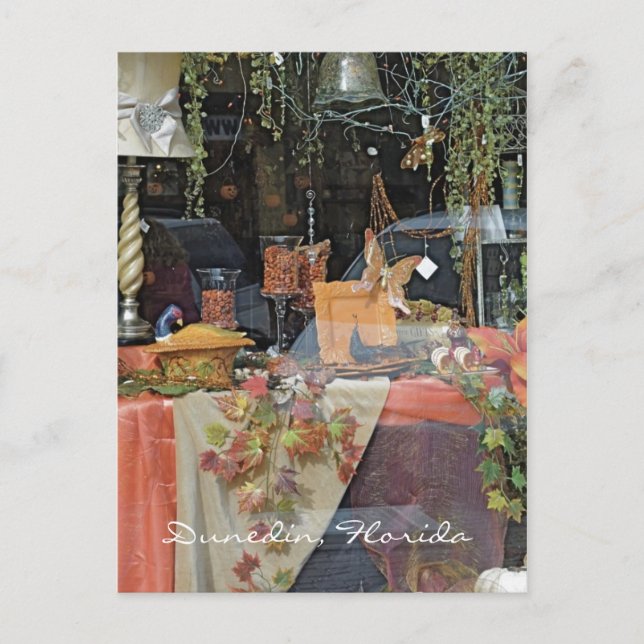 Gift Shop Window - Dunedin Postcard (Front)