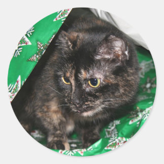 Gift wrapped kitty classic round sticker
