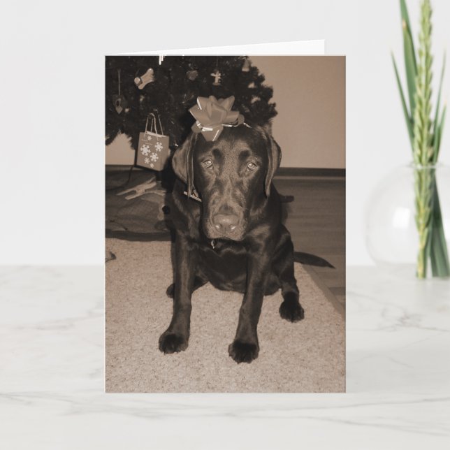 Gift Wrapped Labrador Holiday Card (Front)