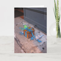 Gift-wrapping Sluggo