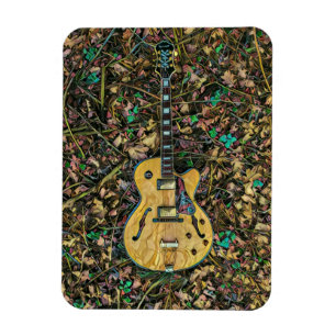 Gifts for guitarist magnet