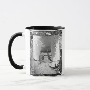 Gifts From Animals Mug