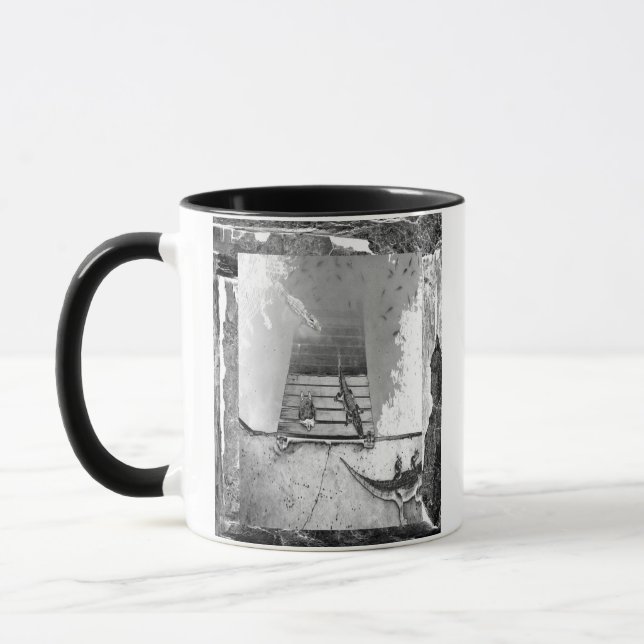 Gifts From Animals Mug (Left)