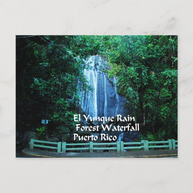 Gifts from the Caribbean Postcard (Front)