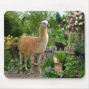 "Gigi The Llama" Mousepad