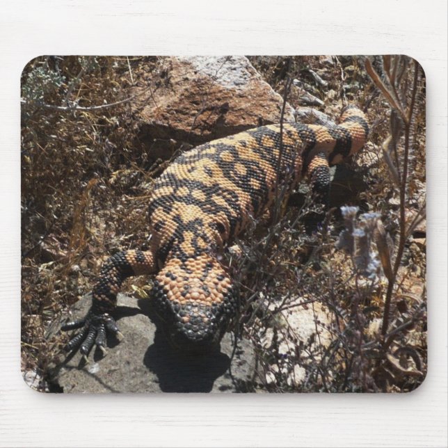 Gila Monster Mouse Pad (Front)